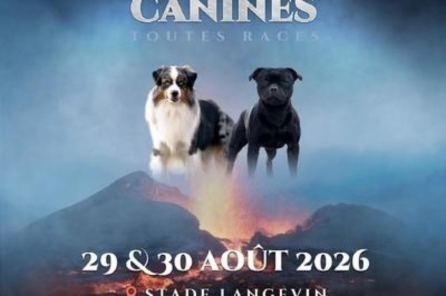 Exposition canine