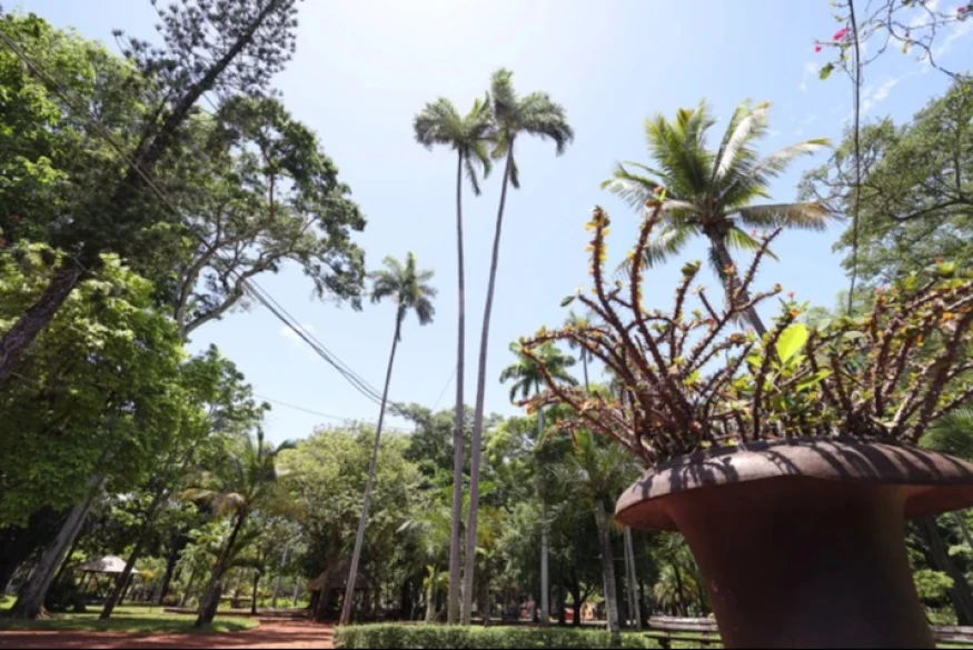 Ça souffle sur Saint-Denis : le Jardin de l'État ferme ses portes